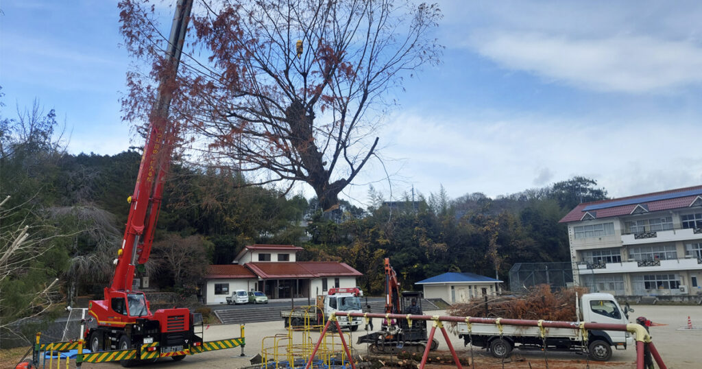本郷小学校の樹木伐採